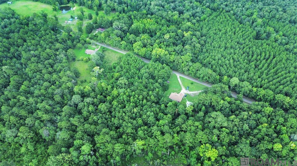 Highway 1071, Angie, Louisiana image 10