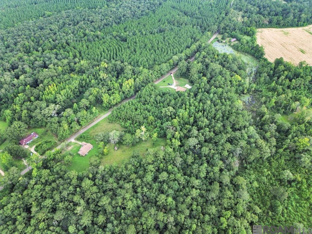 Highway 1071, Angie, Louisiana image 7