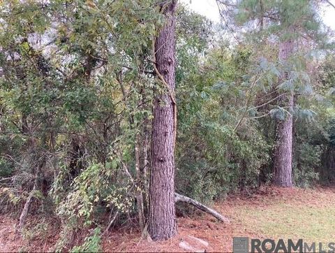 Vacant Land For Sale - LOT 14 Lucien St<br/> Denham Springs, LA 70726