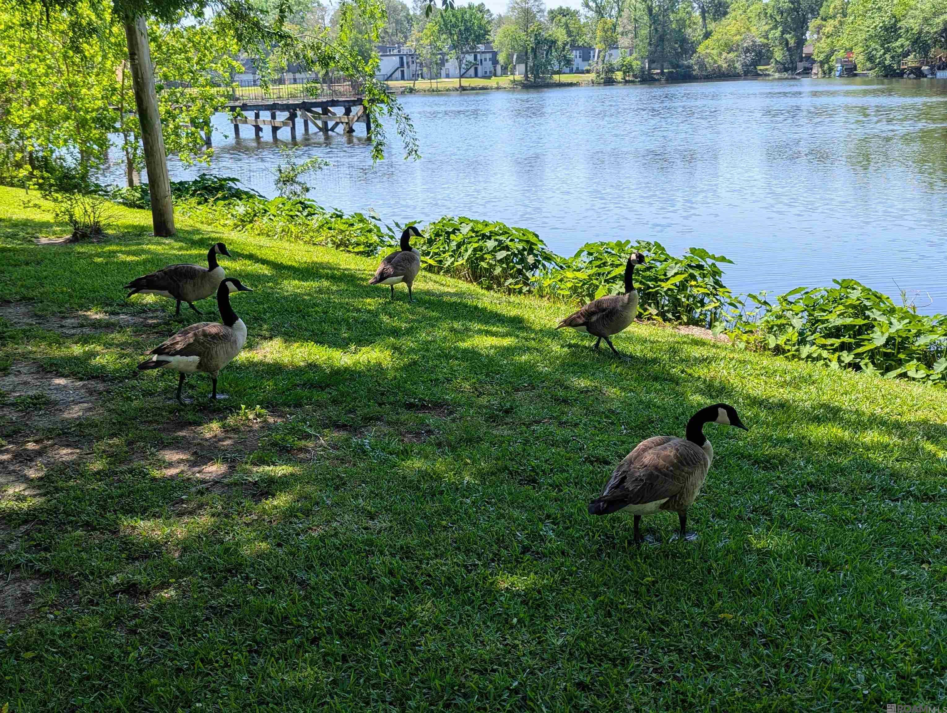 10280 W Winston Ave #11, Baton Rouge, Louisiana image 12