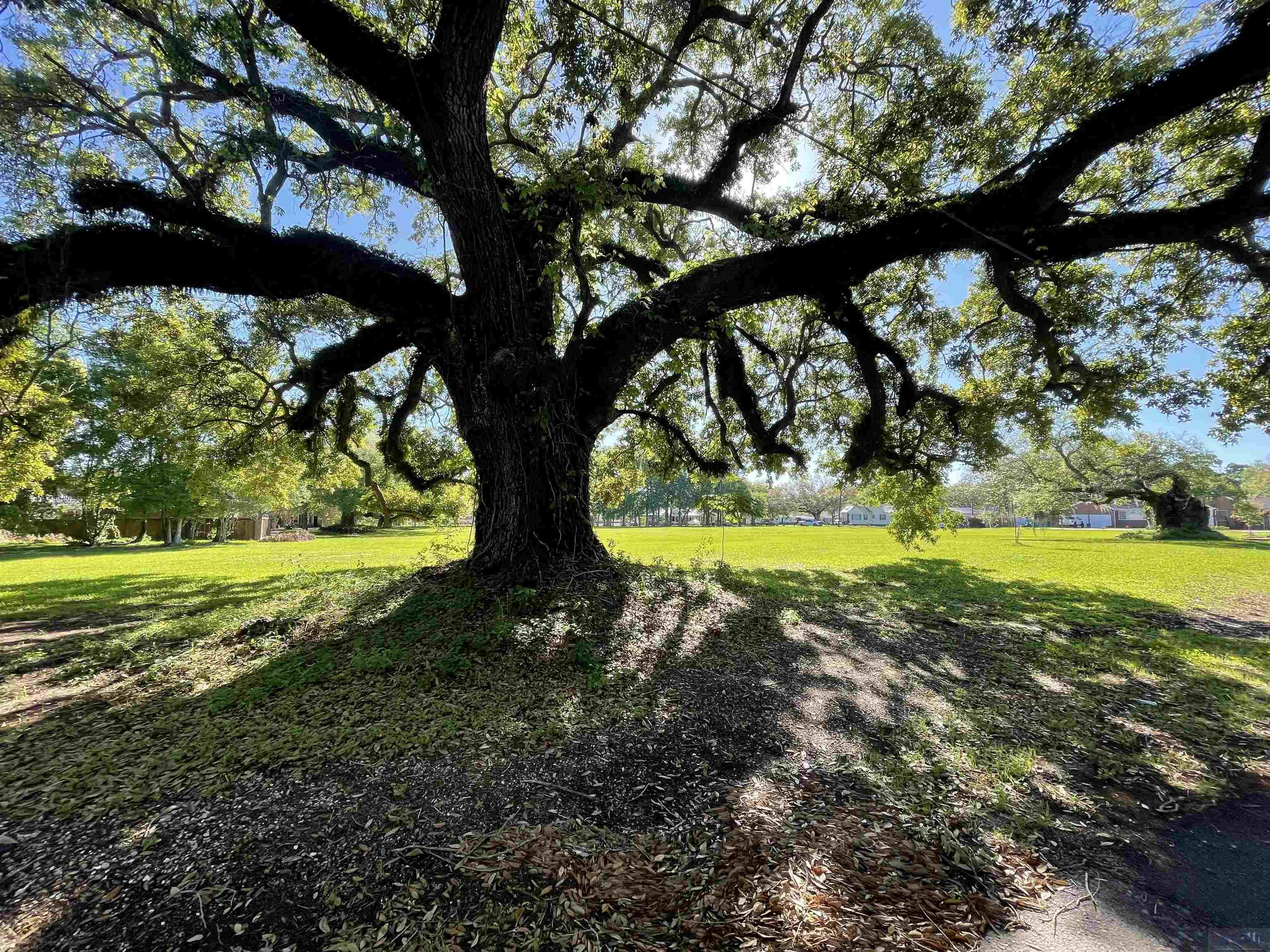 104 Main St, Franklin, Louisiana image 2