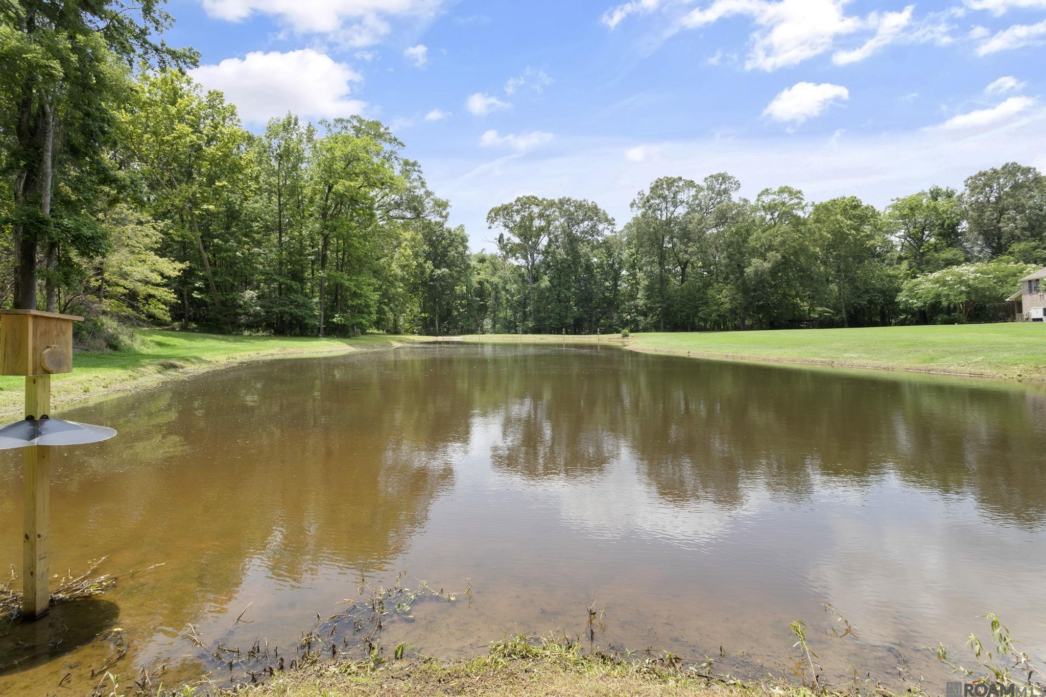 4888 Audubon Ln, Saint Francisville, Louisiana image 32