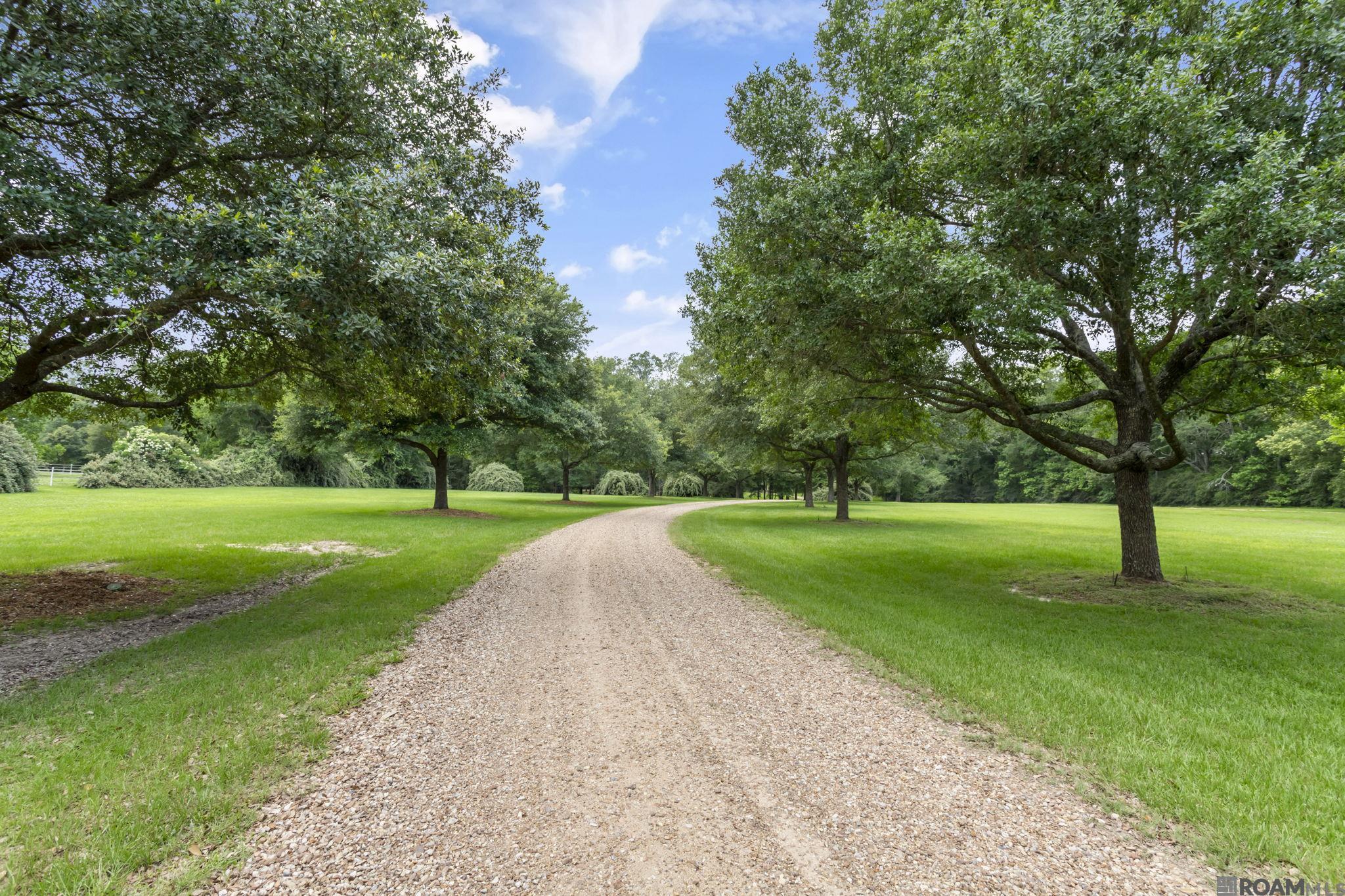 4888 Audubon Ln, Saint Francisville, Louisiana image 33