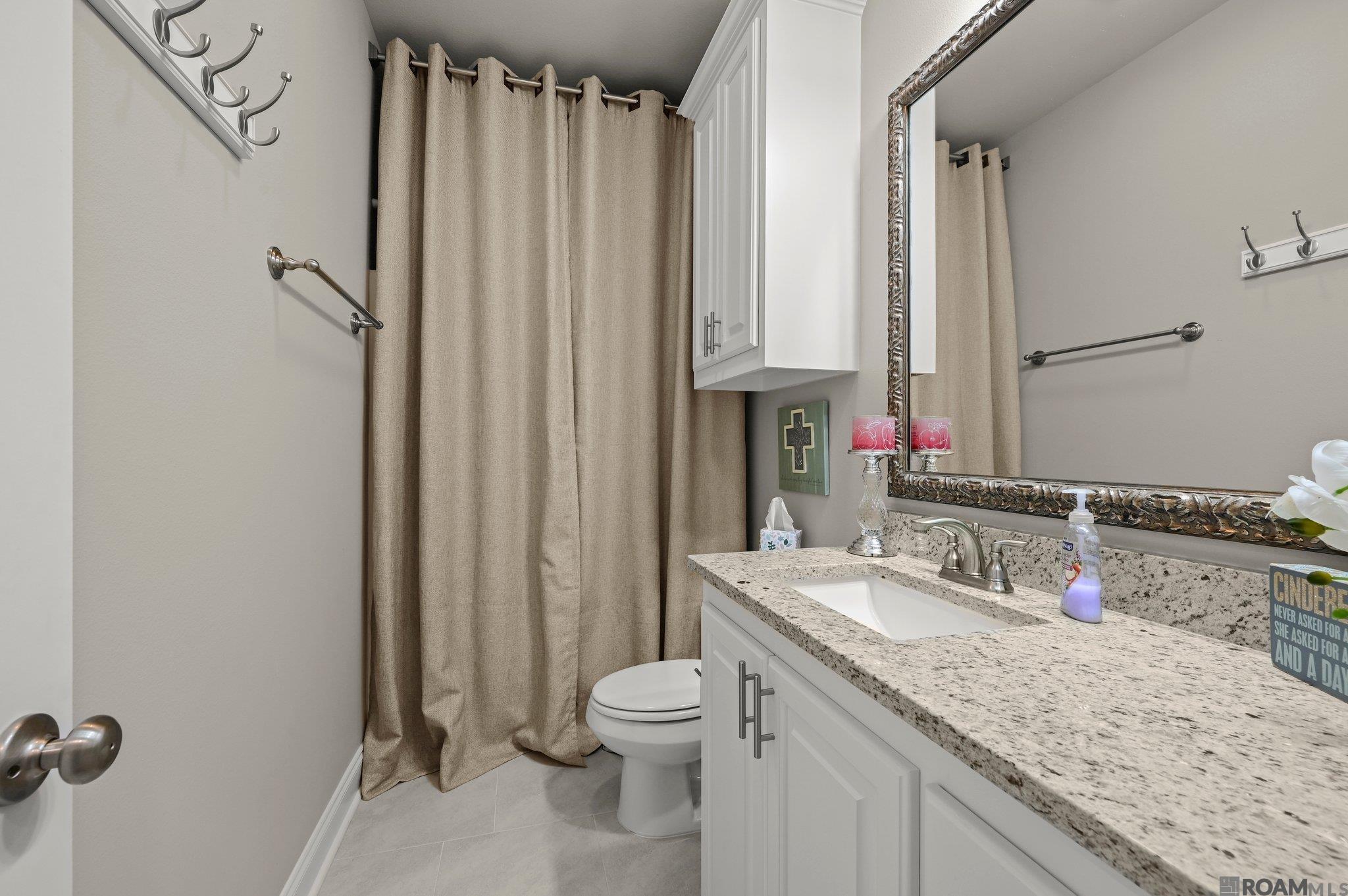 36443 Belle Journee Ave, Geismar, Louisiana image 9