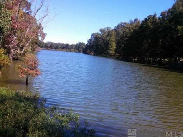 8081 Raleigh Dr, Ethel, Louisiana image 13