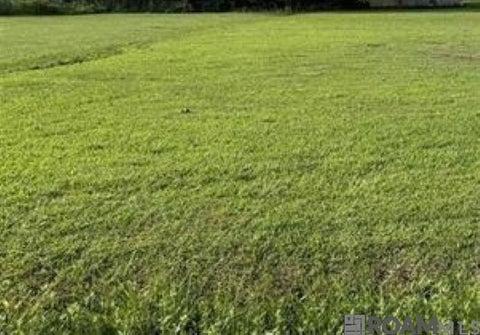 Vacant Land For Sale - Netterville St<br/> Baton Rouge, LA 70807
