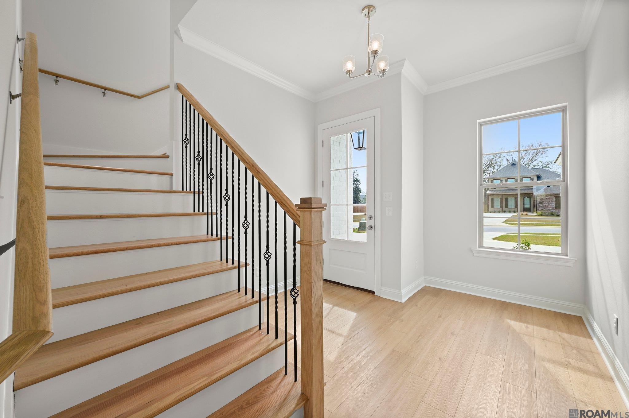 37482 Cattle Ave, Prairieville, Louisiana image 3