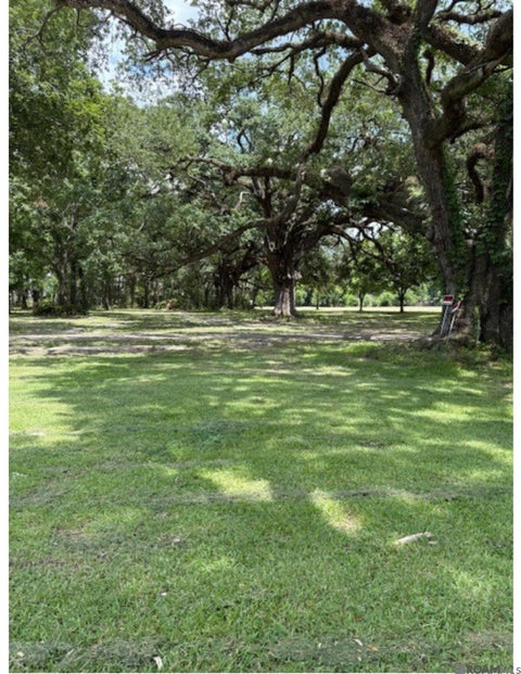 Vacant Land For Sale - 15040 La Hwy 73<br/> Prairieville, LA 70769