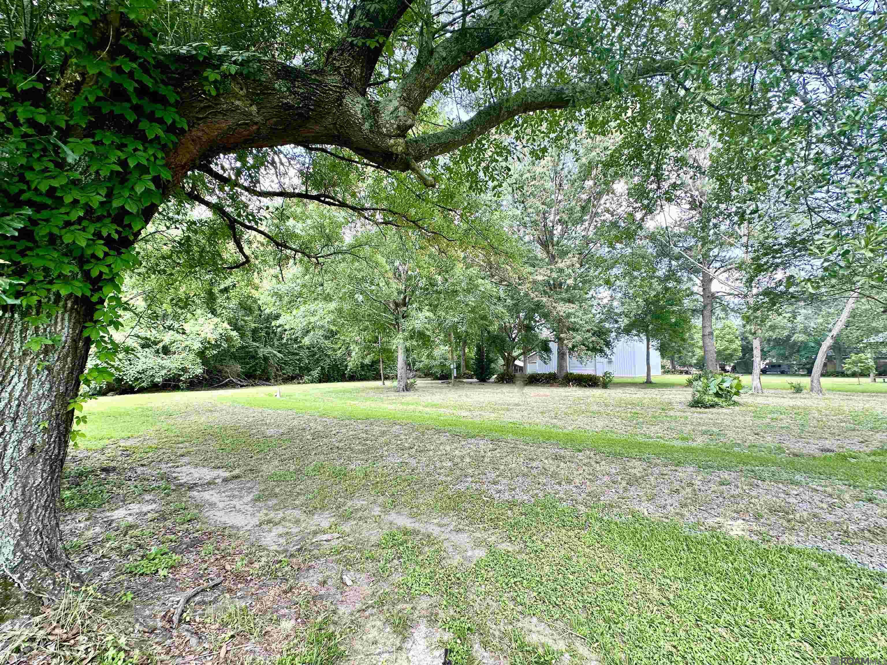 36457 C Braud Rd, Prairieville, Louisiana image 2