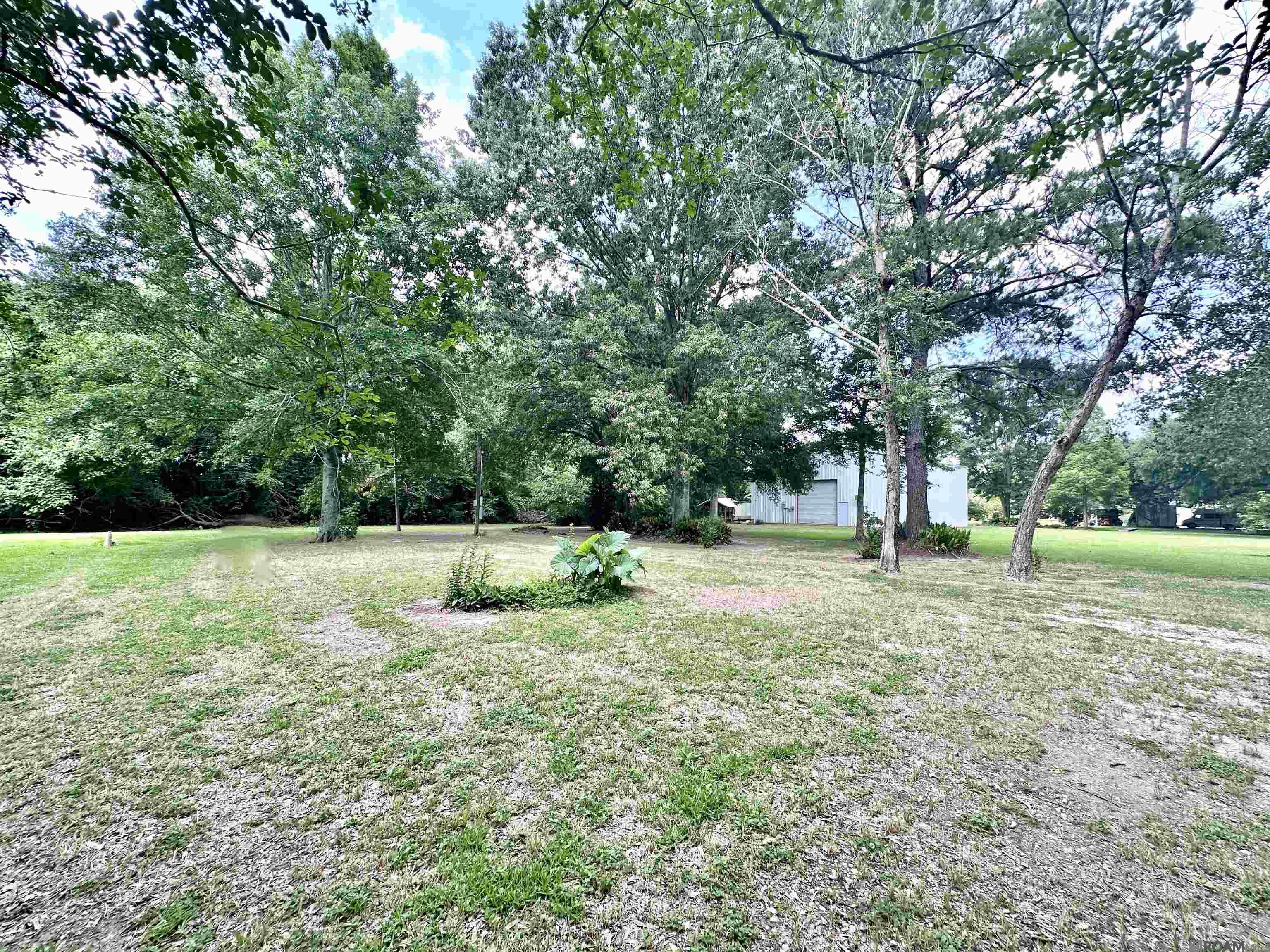 36457 C Braud Rd, Prairieville, Louisiana image 6