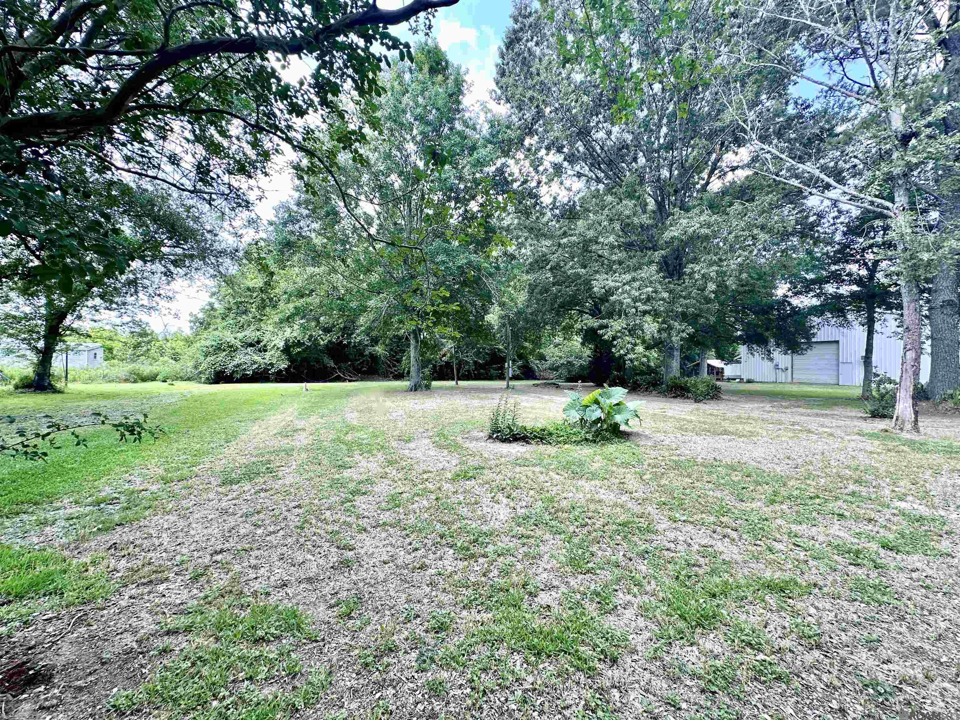 36457 C Braud Rd, Prairieville, Louisiana image 5