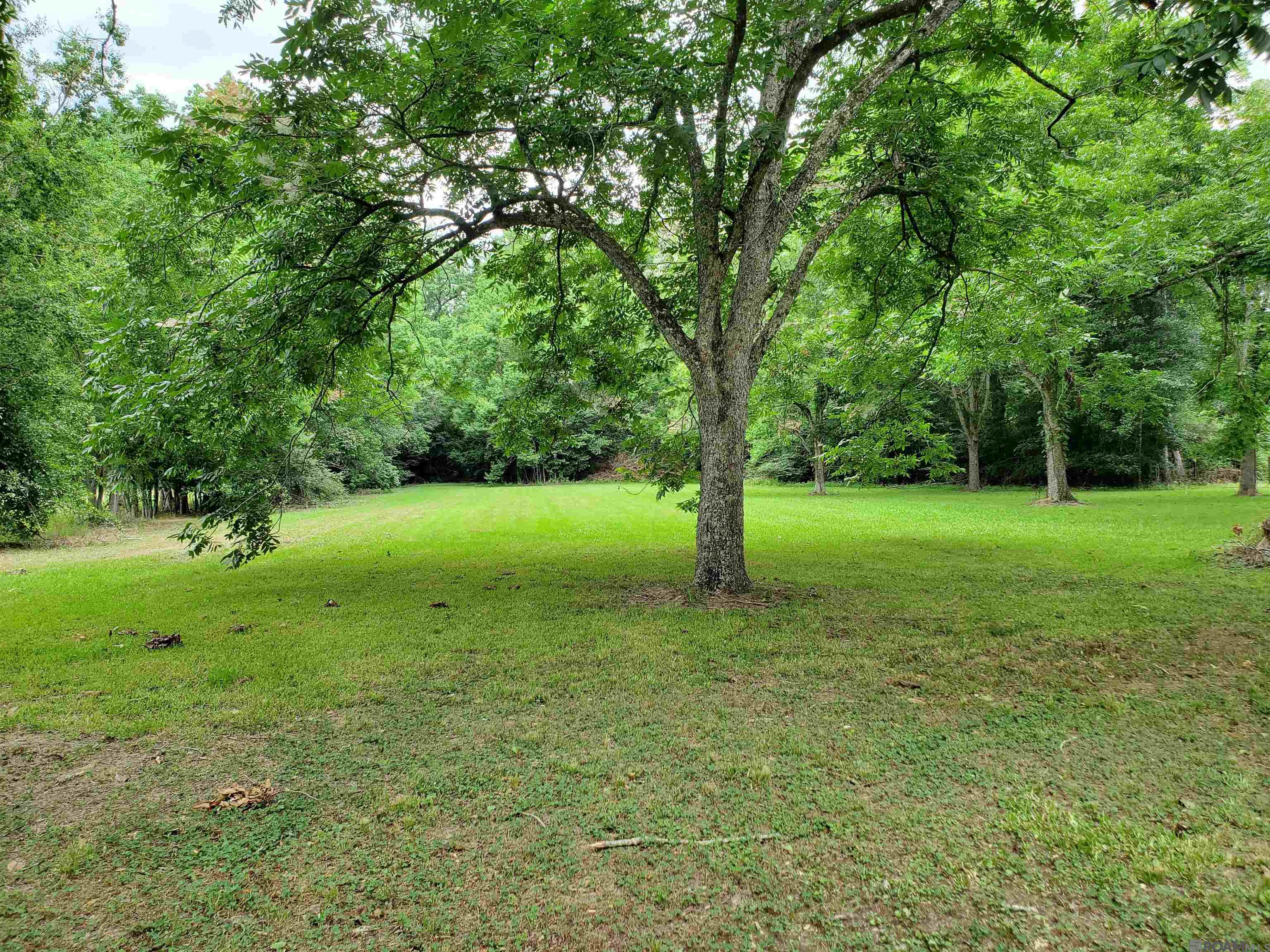 4259 Cooper Ln, Jackson, Louisiana image 6