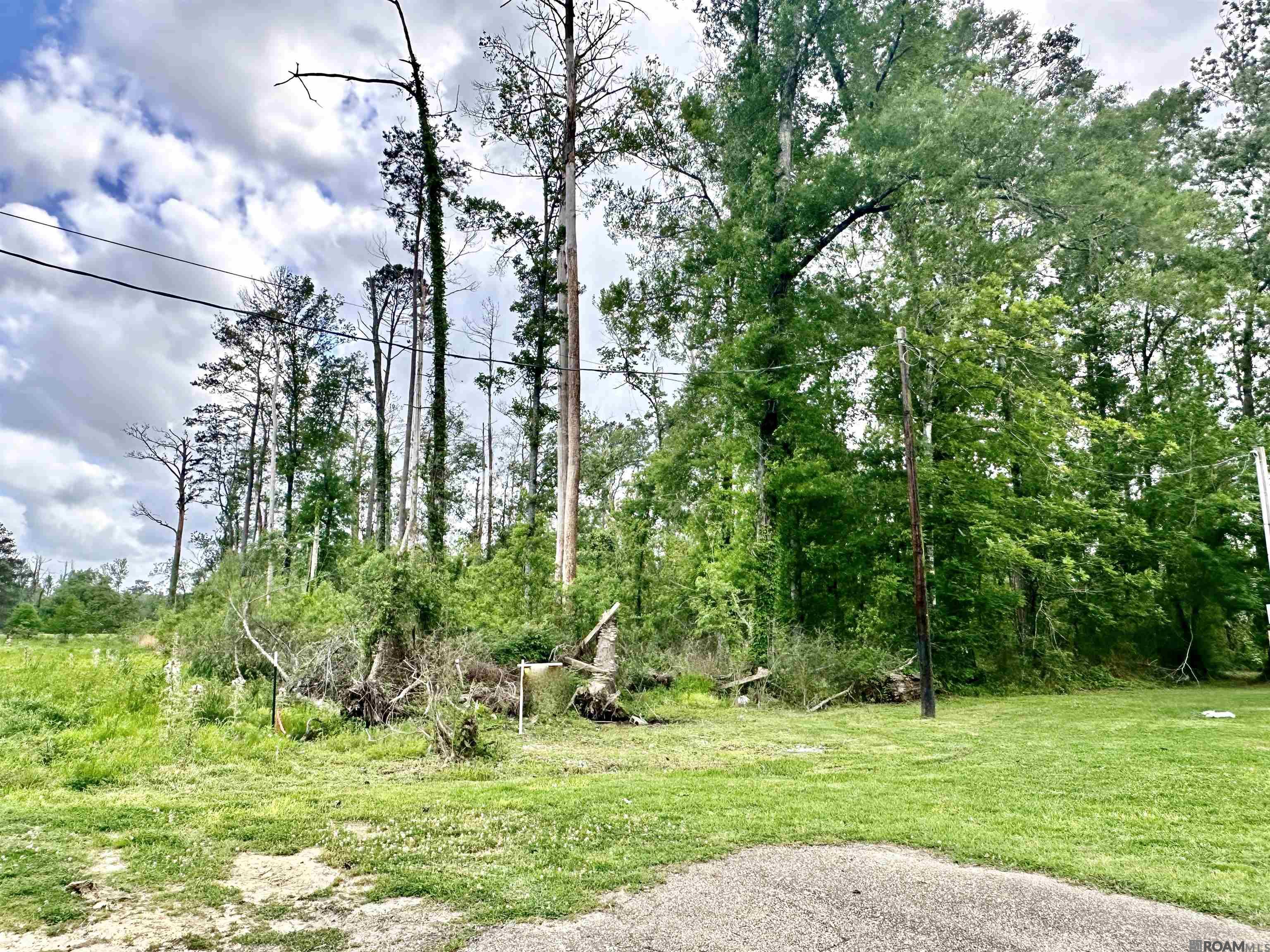 1-A-3 Beechwood Rd, Prairieville, Louisiana image 4