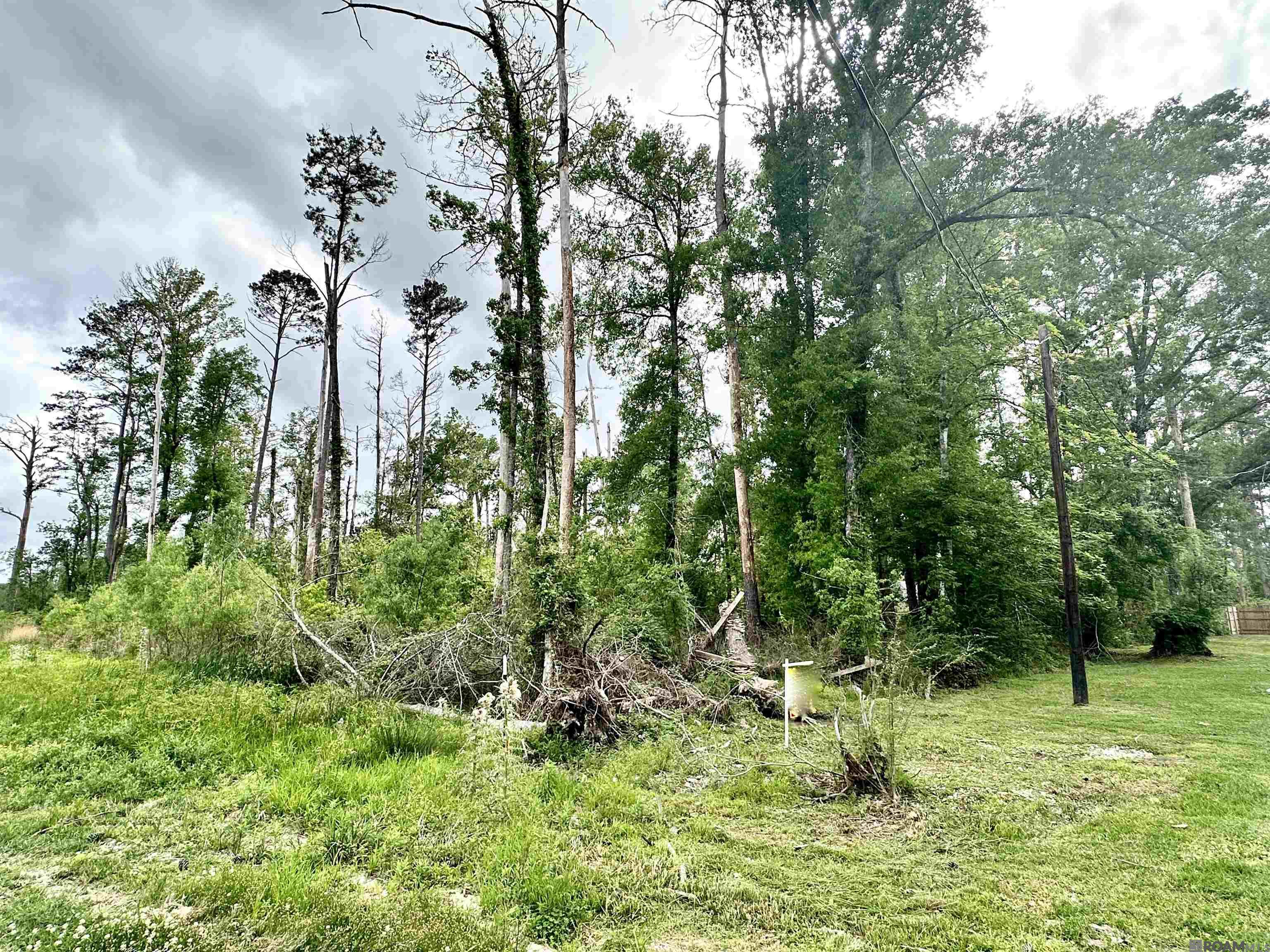 1-A-3 Beechwood Rd, Prairieville, Louisiana image 6