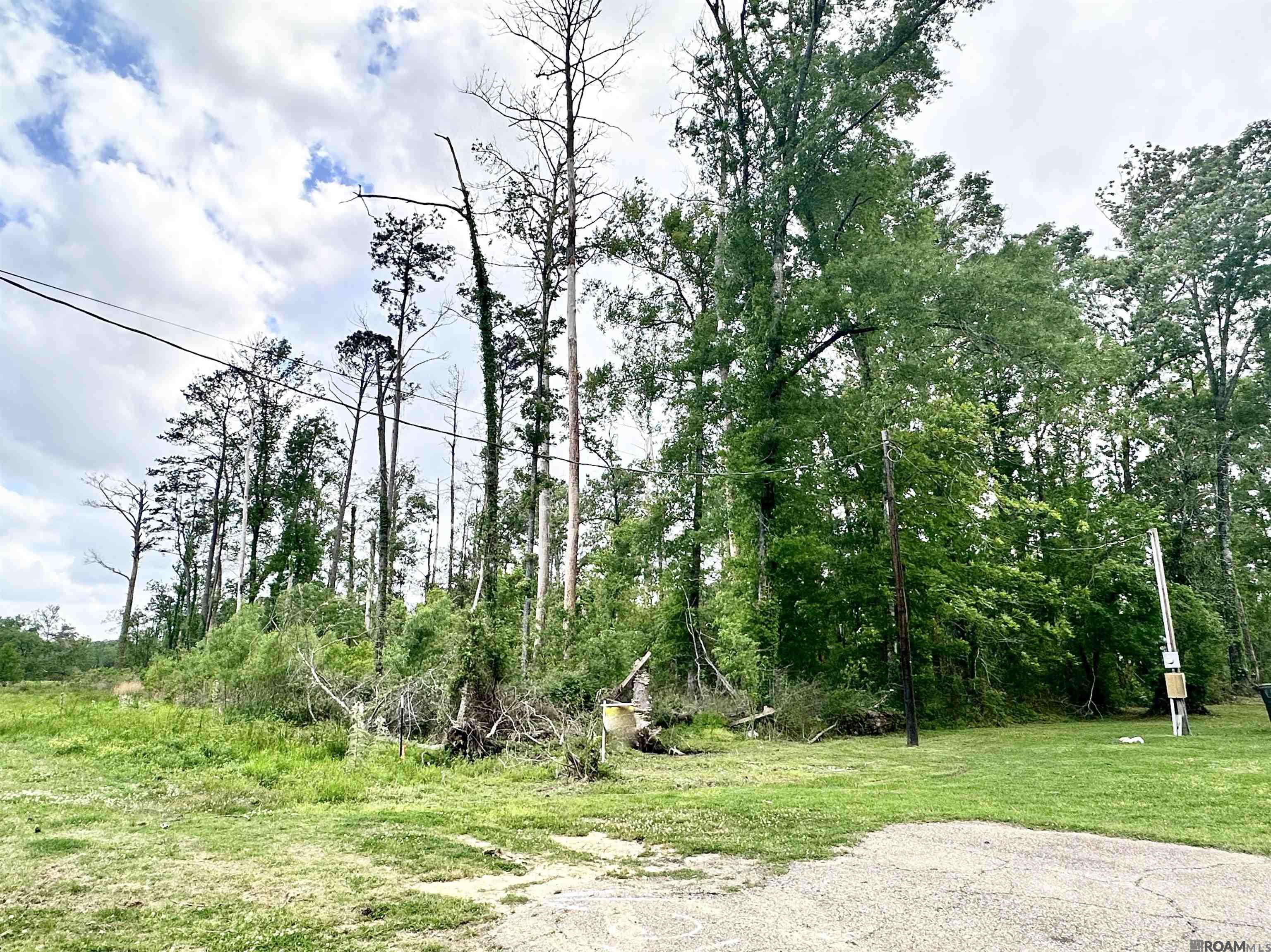1-A-3 Beechwood Rd, Prairieville, Louisiana image 3