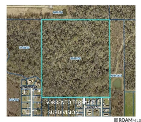 TBD OAK ST, SORRENTO, LA 70778 - Image 1d8000e2fb9e29083ca5e193eb9993c7/2220158459