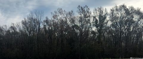 Vacant Land For Sale - TBD Main St<br/> Sorrento, LA 70778