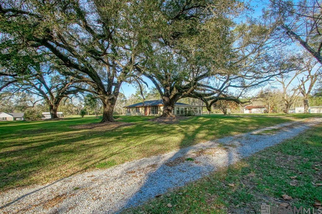 15061 Catfish Farm Rd, Independence, Louisiana image 1