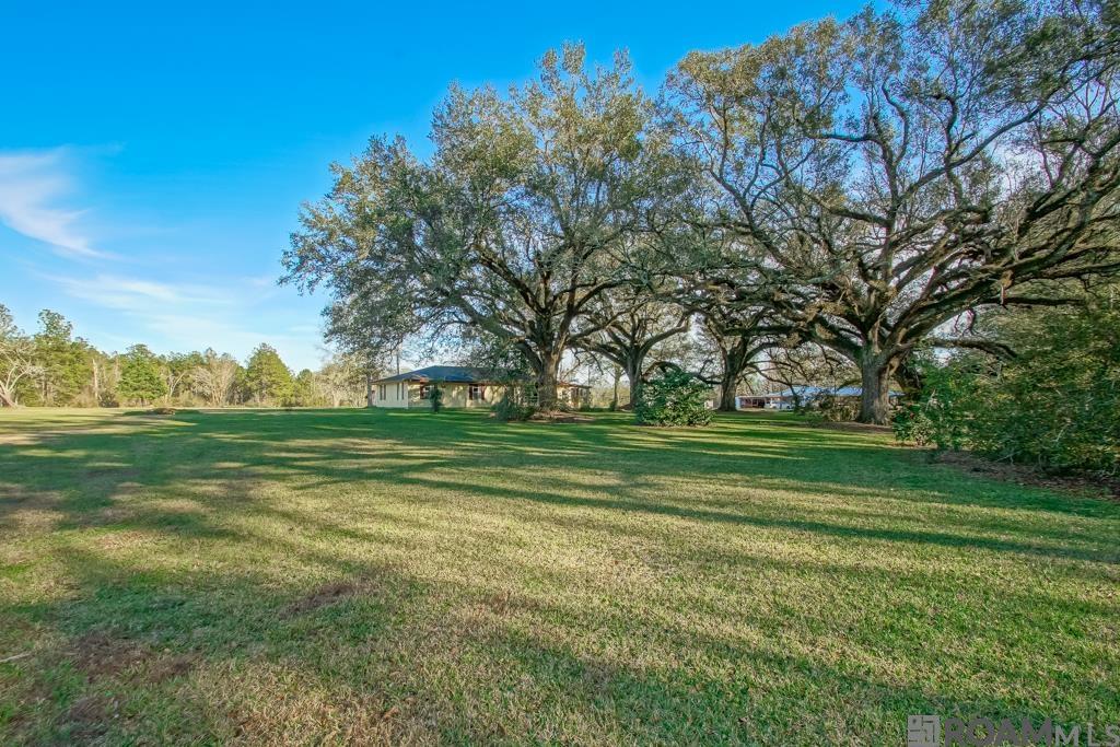 15061 Catfish Farm Rd, Independence, Louisiana image 3