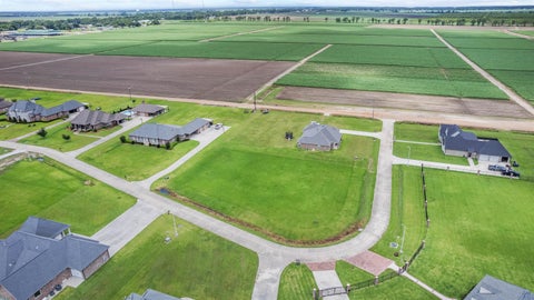 Vacant Land For Sale - 269 Longwood Dr<br/> Napoleonville, LA 70390