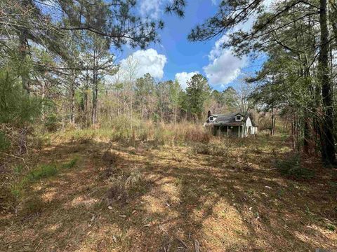 Vacant Land For Sale - 38112 La Hwy 16<br/> Saint Helena County, Amite, LA 70422