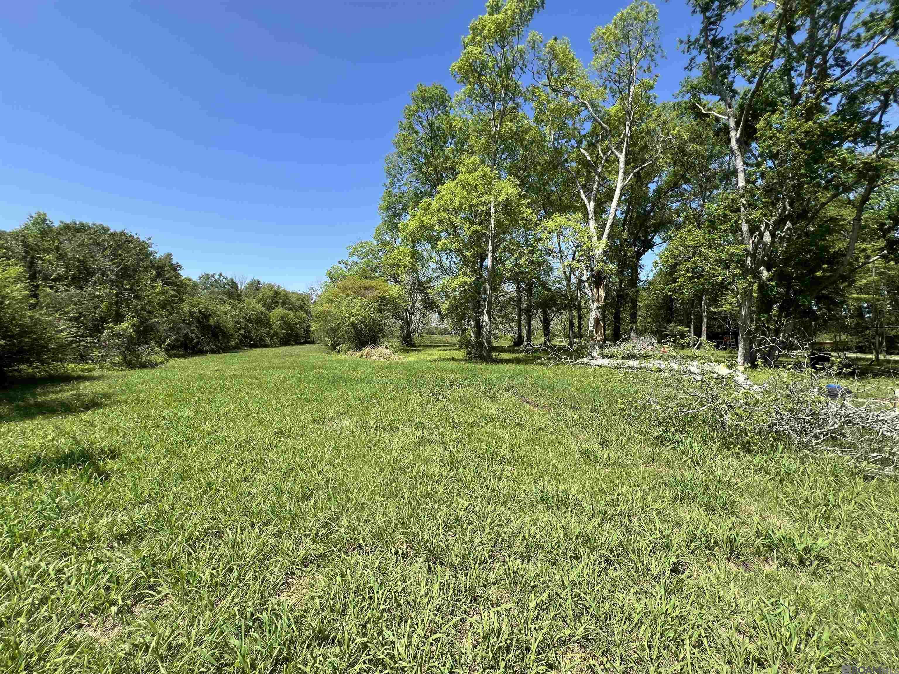 4985 Bueche Rd, Port Allen, Louisiana image 28