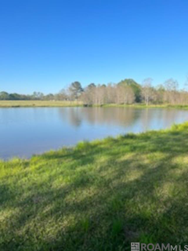 TBD La Hwy 958, Slaughter, Louisiana image 2