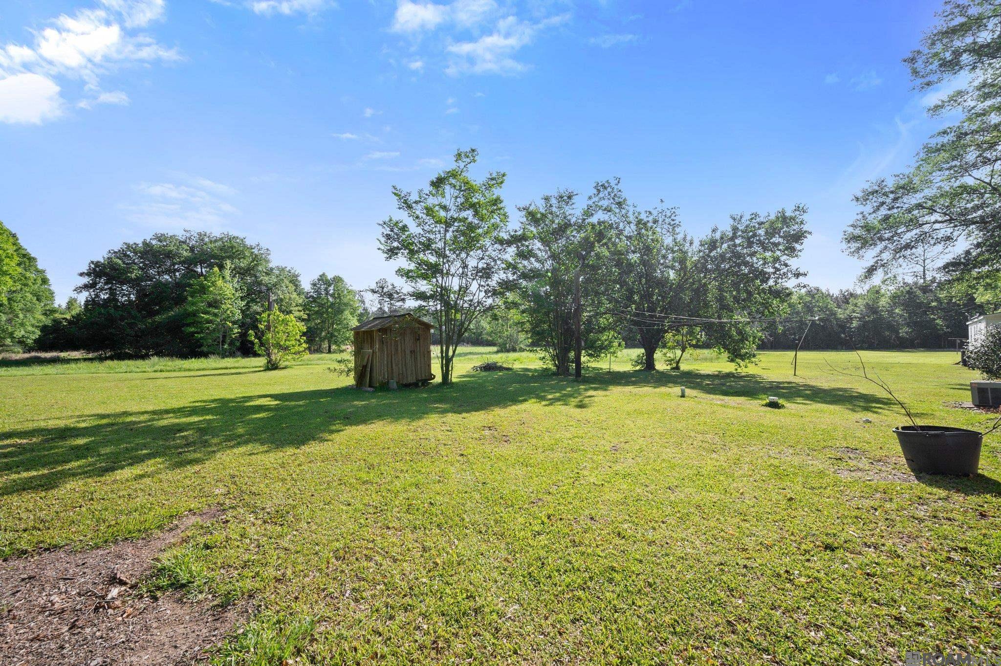 23110 Lee Price Rd, Clinton, Louisiana image 2