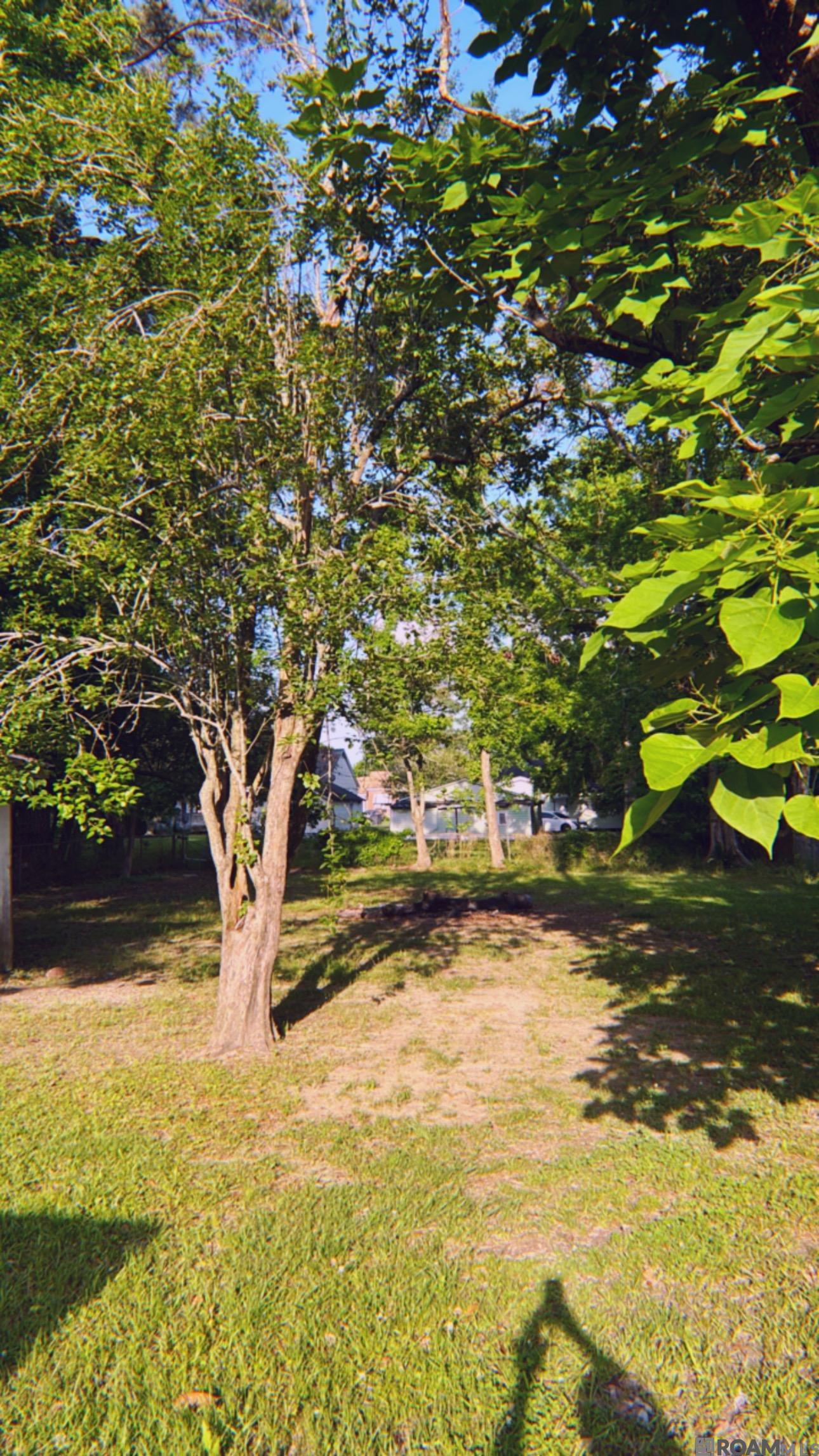 6039 Beechwood Dr, Baton Rouge, Louisiana image 17