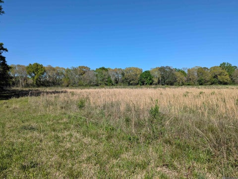 Vacant Land For Sale - 1929 E Milton Rd<br/> Youngsville, LA 70592