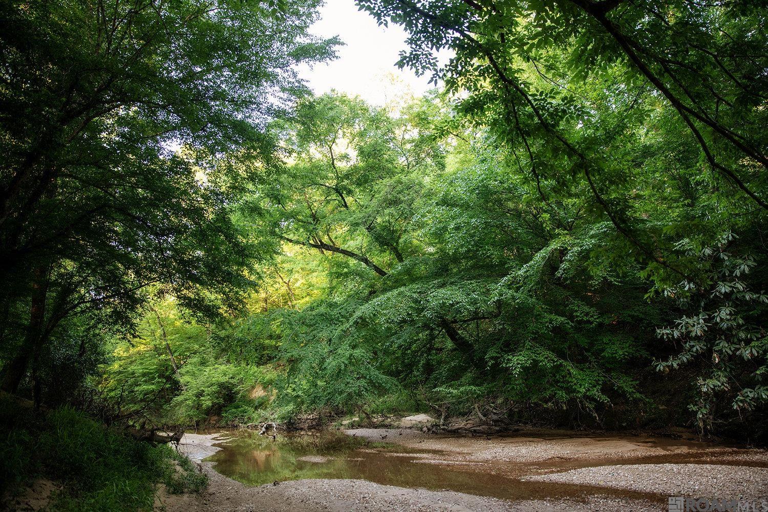 LOT 1-B Longleaf Ln, Saint Francisville, Louisiana image 3