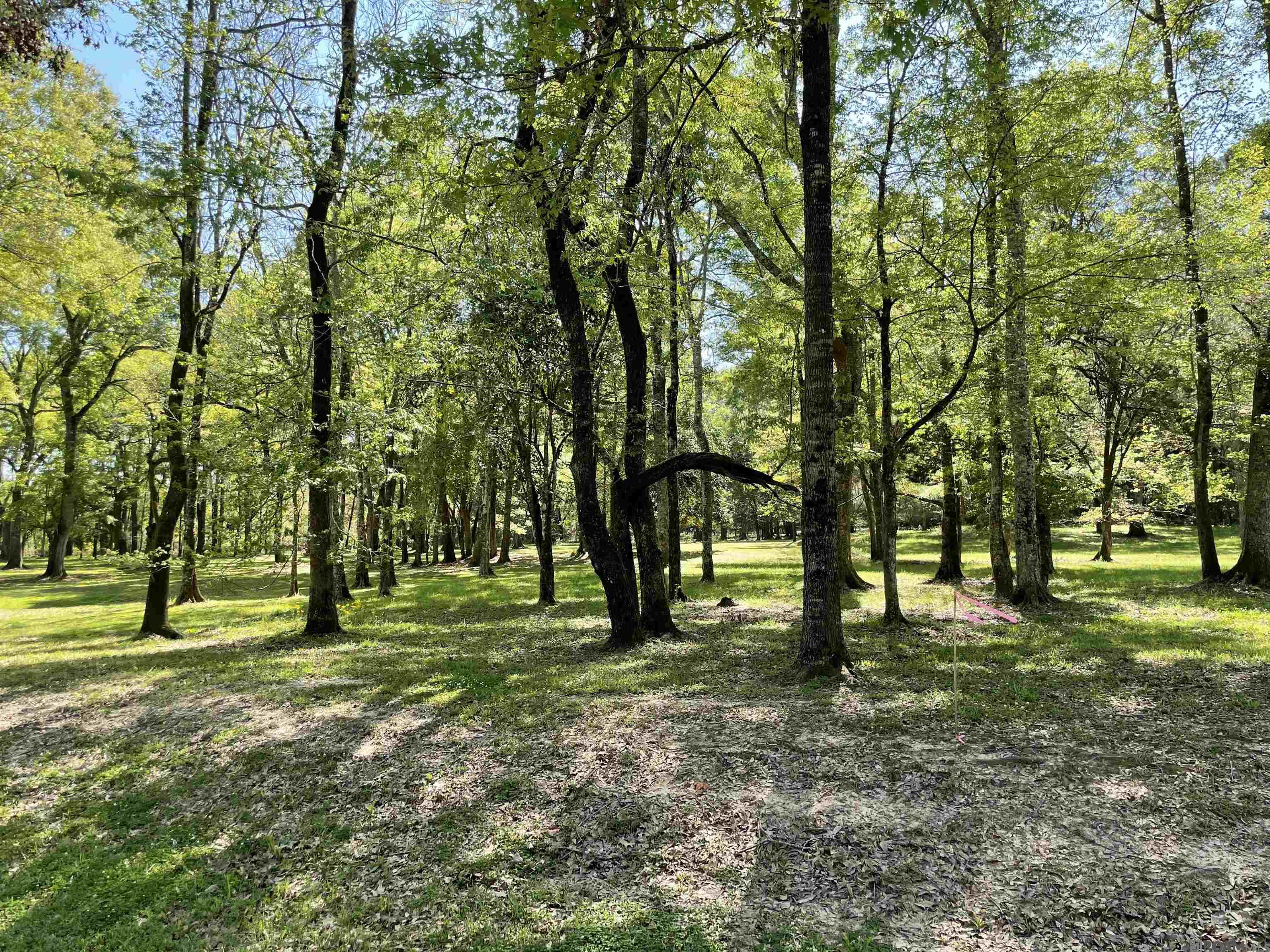 LOT 1-B Longleaf Ln, Saint Francisville, Louisiana image 5