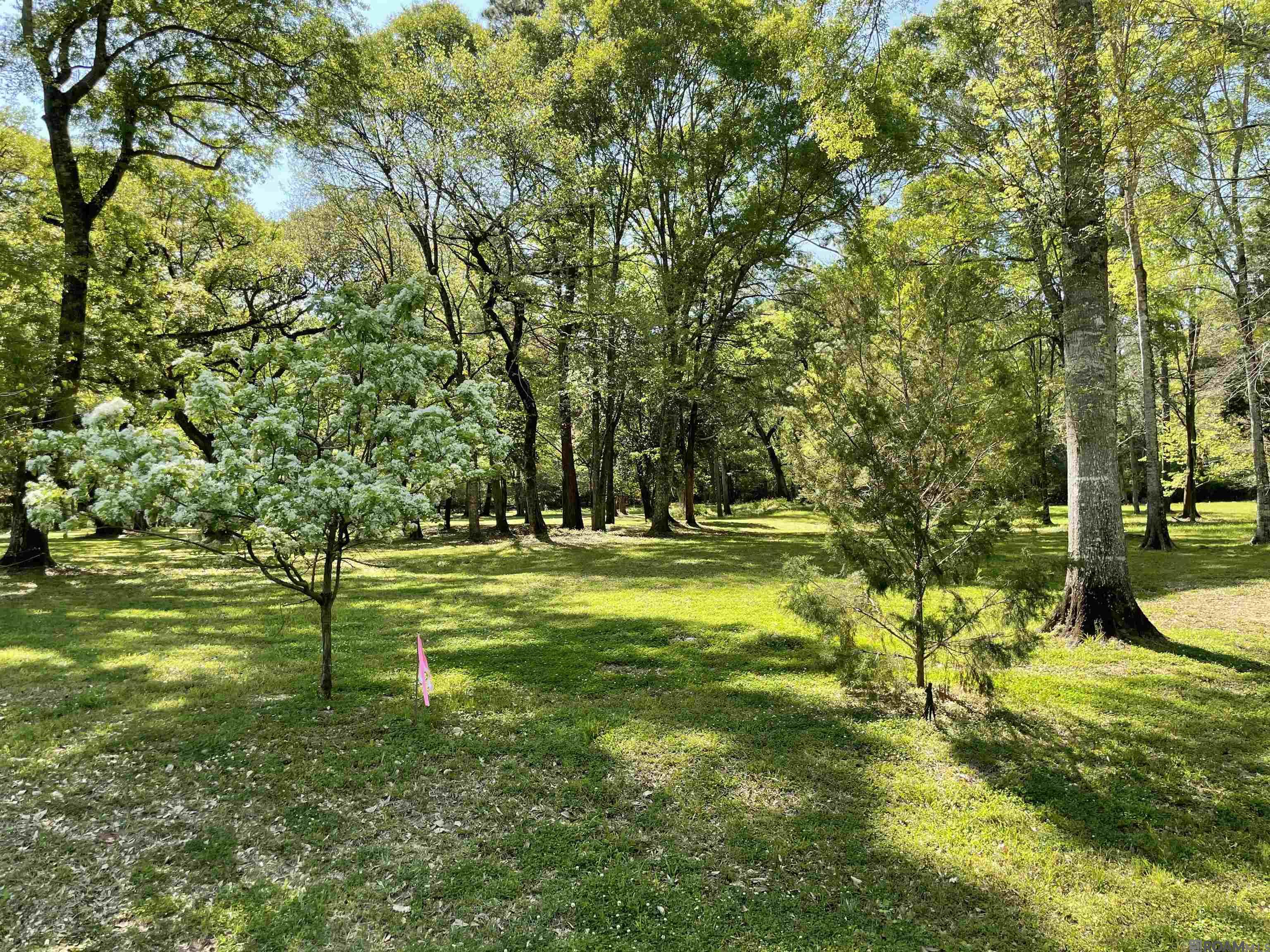 LOT 1-B Longleaf Ln, Saint Francisville, Louisiana image 4