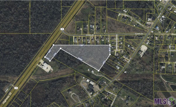 STATE RTE 22, SORRENTO, LA 70778 - Image 1fd4e0be4fbc20a761aa2dda7781e4cd/842910216