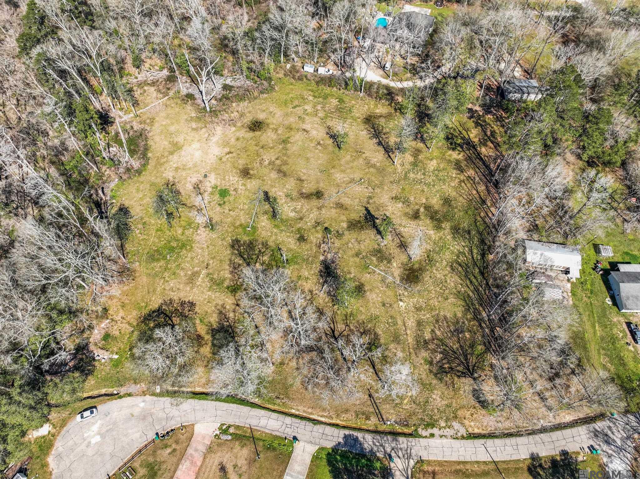 7003 Chandler Bluff Rd, Denham Springs, Louisiana image 1
