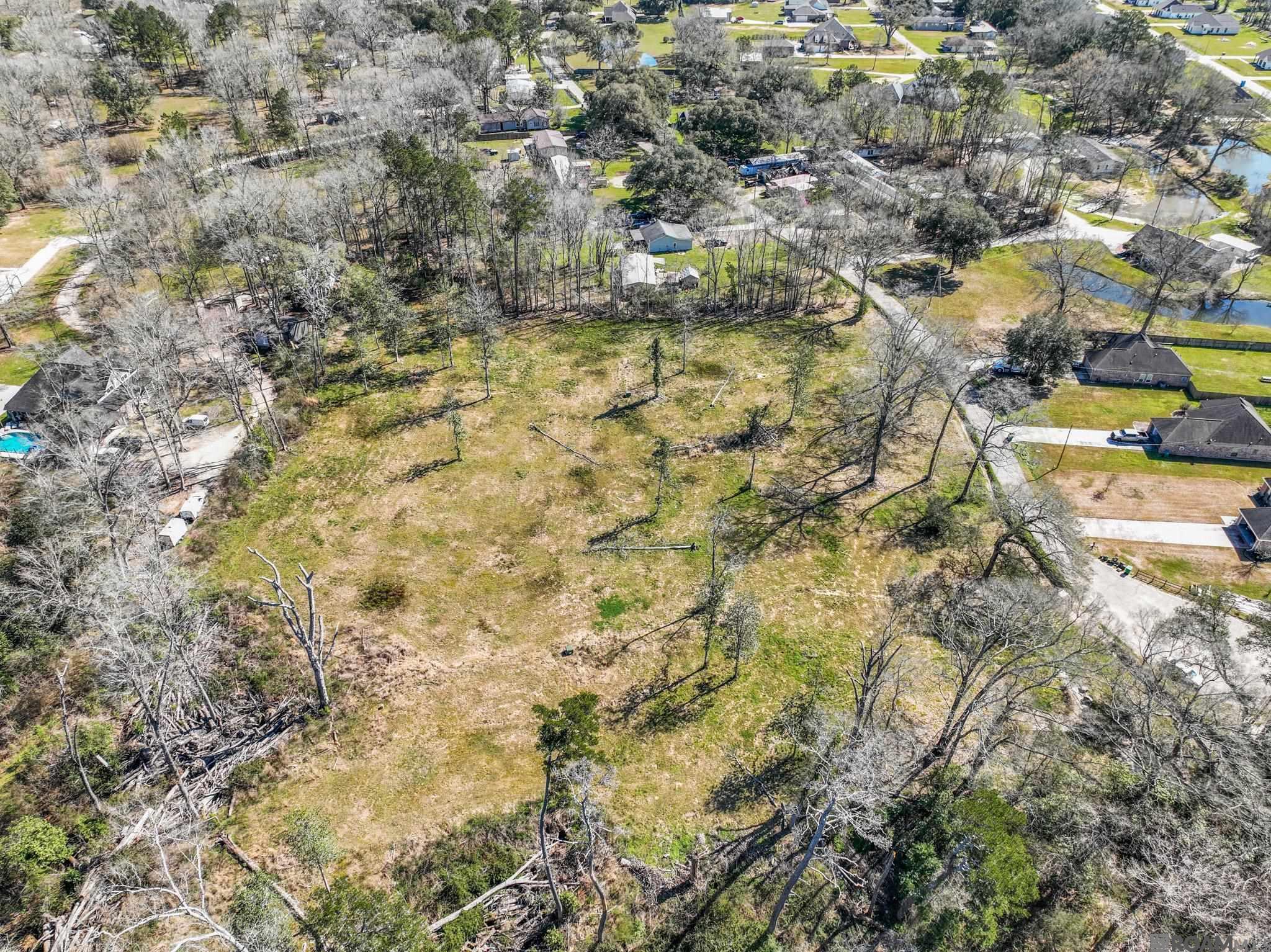 7003 Chandler Bluff Rd, Denham Springs, Louisiana image 3