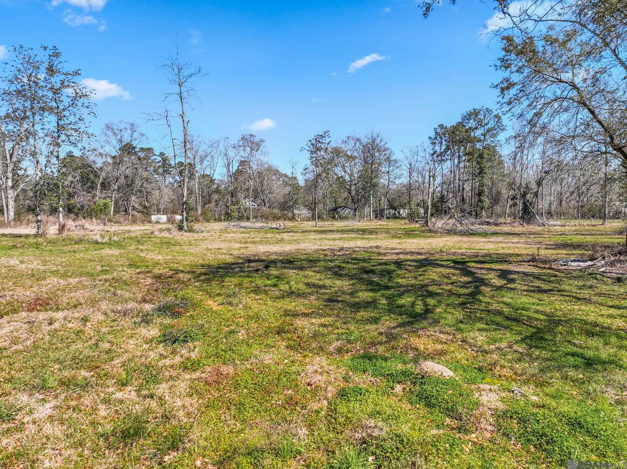 7003 Chandler Bluff Rd, Denham Springs, Louisiana image 7