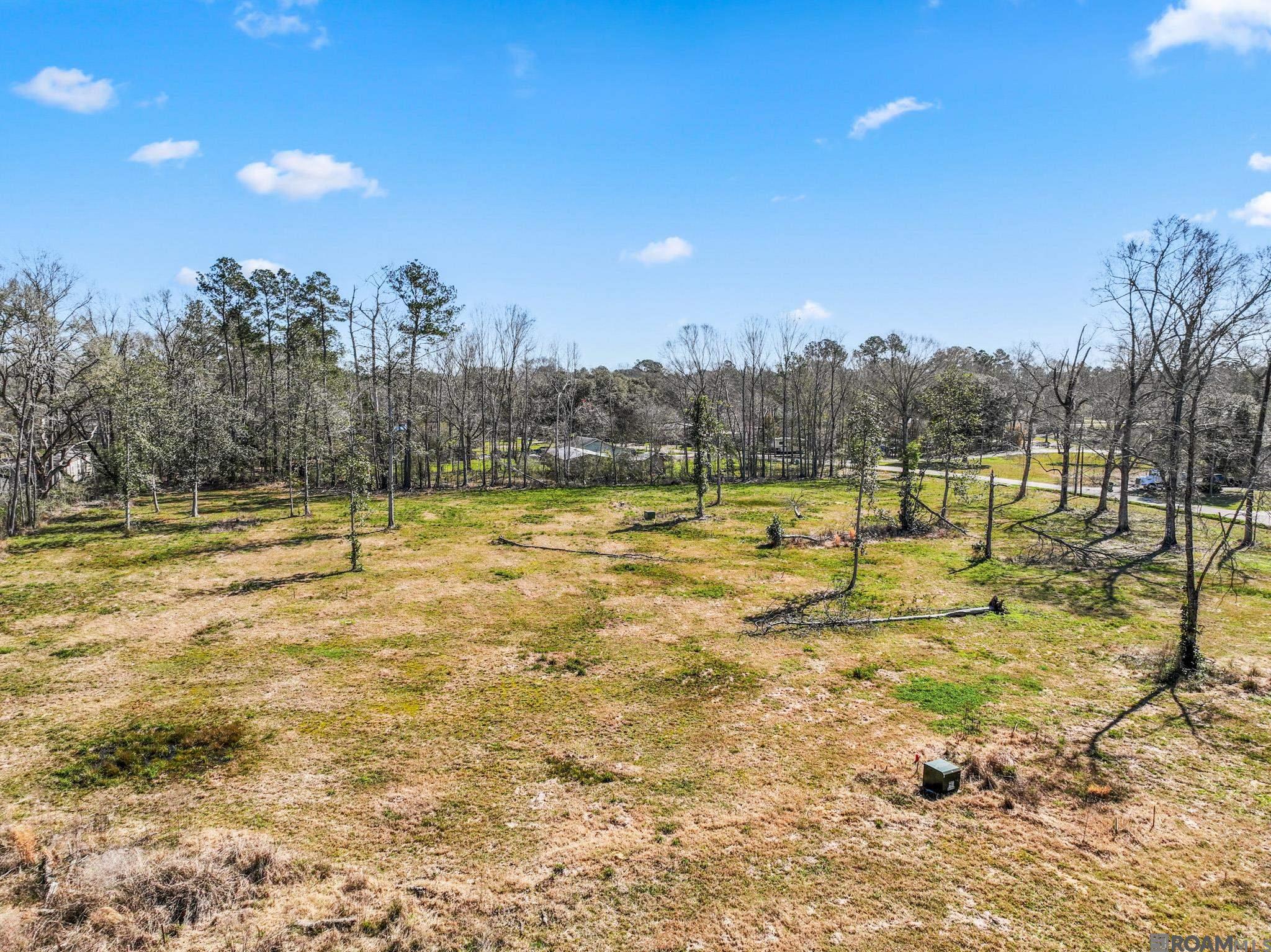 7003 Chandler Bluff Rd, Denham Springs, Louisiana image 8