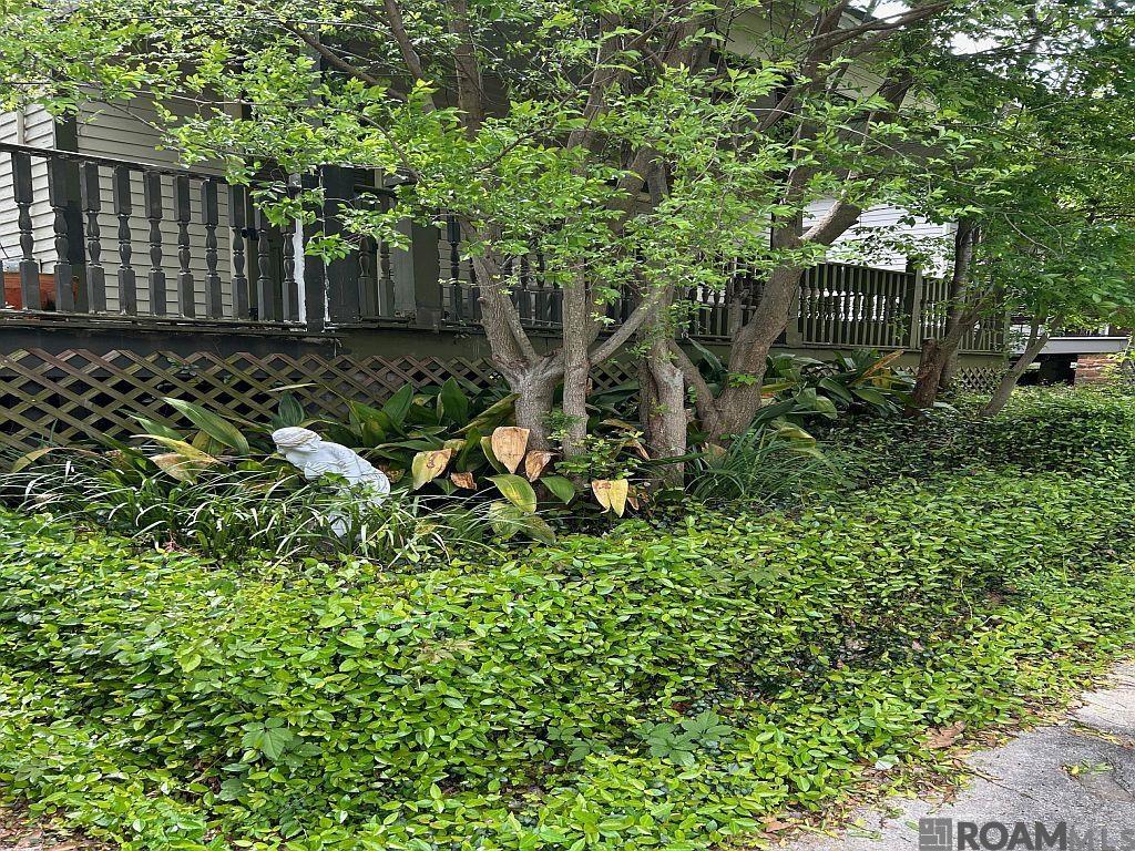 620 America St, Baton Rouge, Louisiana image 2