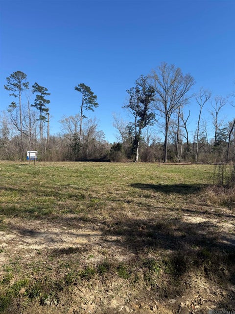Vacant Land For Sale - LOT 2 Music Ln<br/> Springfield, LA 70462