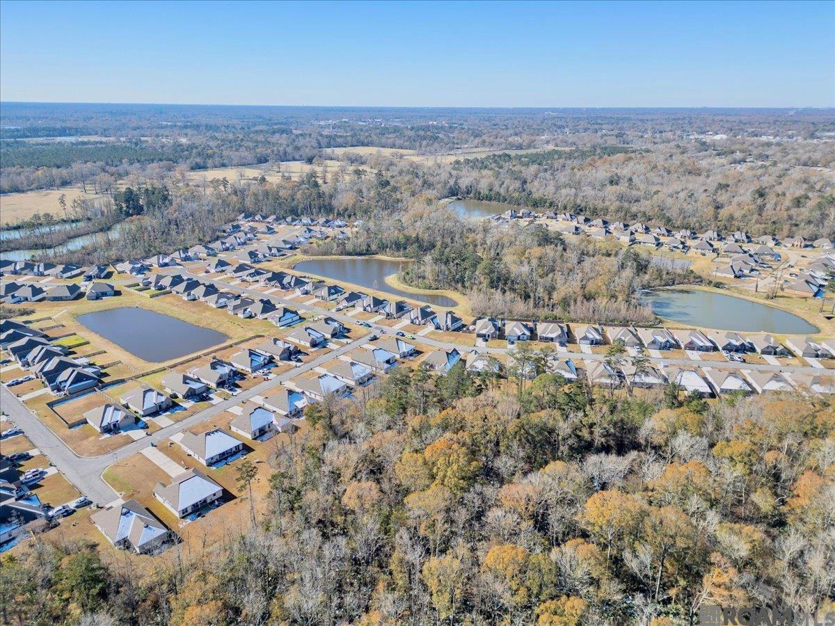 28299 Natchez Trace, Denham Springs, Louisiana image 8