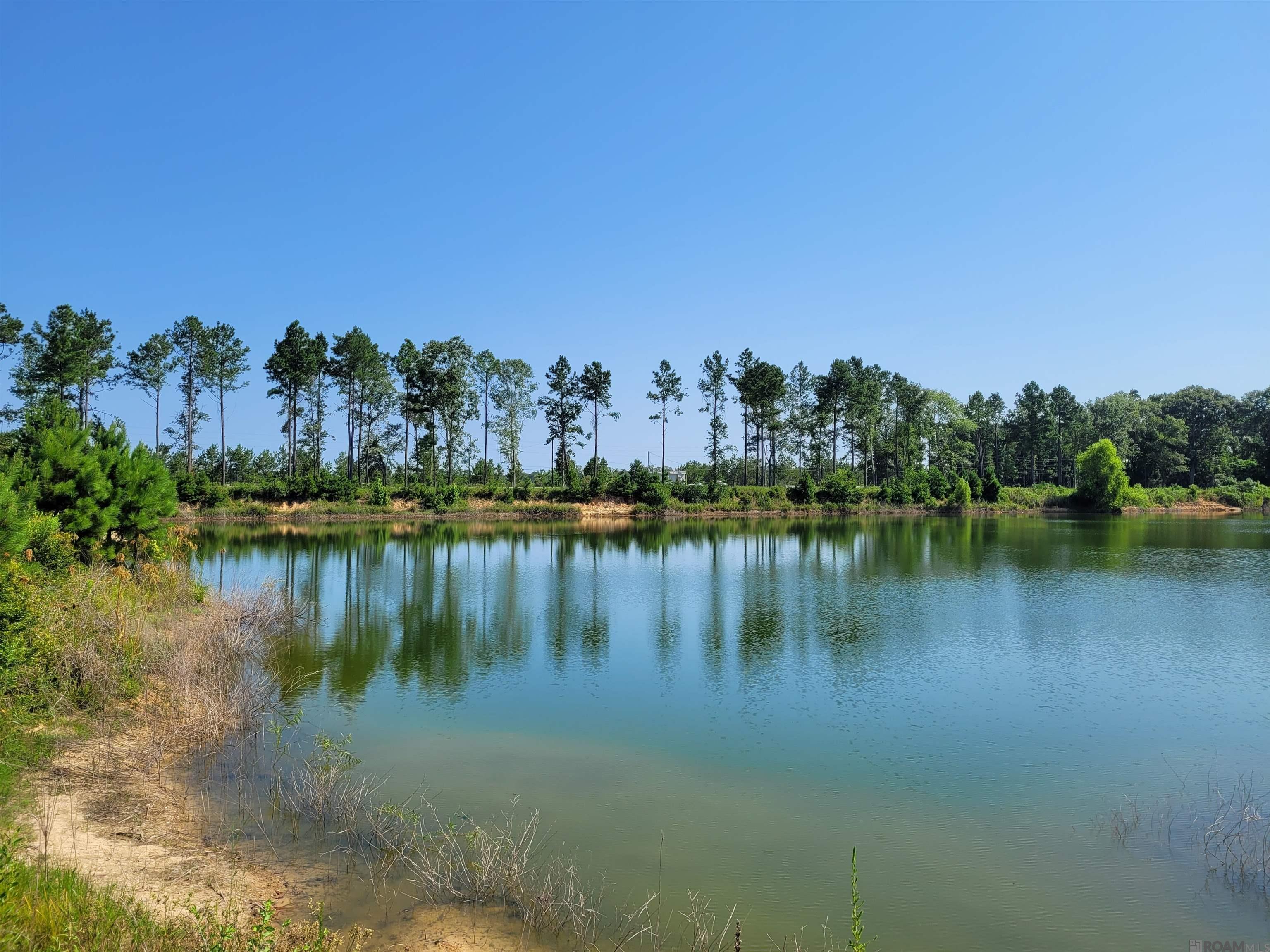 Lot 9 Hidden Oaks Ln, Denham Springs, Louisiana image 4