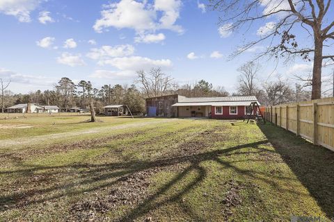 Vacant Land For Sale - 20224 Riverside Rd<br/> Springfield, LA 70462