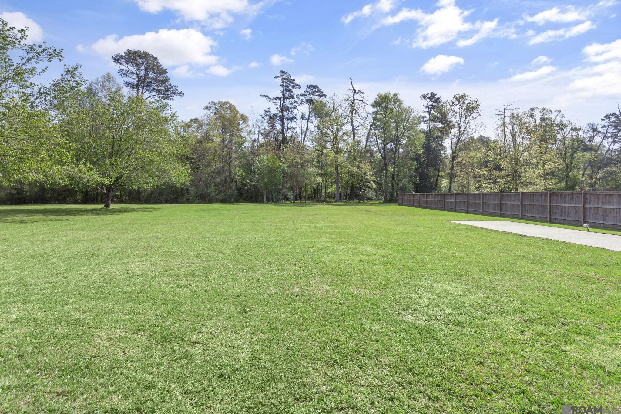 35130 Stonecastle Drive, Denham Springs, Louisiana image 5