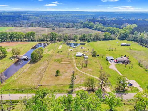 Vacant Land For Sale - 16130 La Hwy 10<br/> Tangipahoa County, Roseland, LA 70456