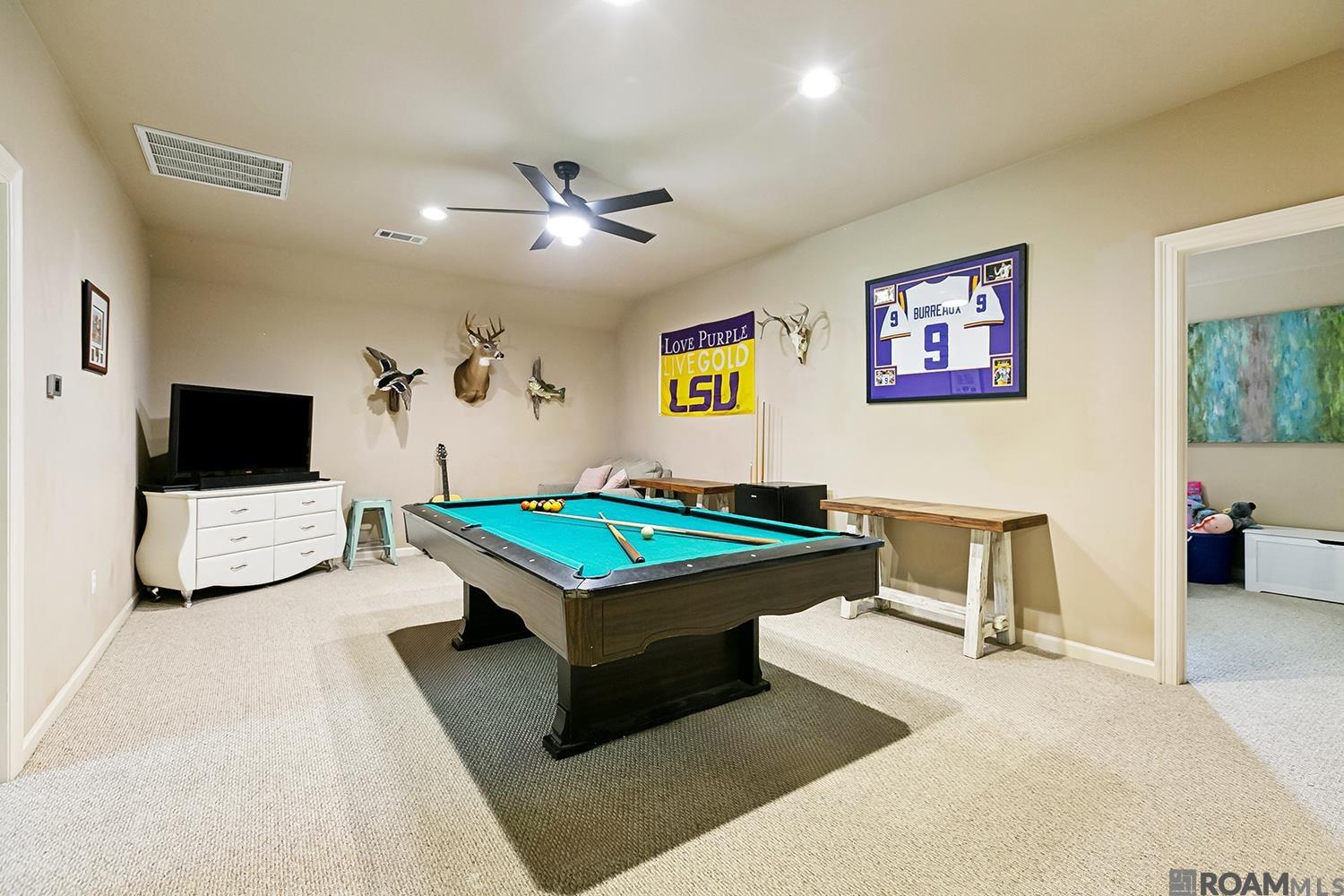 35201 Cane Market Rd, Denham Springs, Louisiana image 28