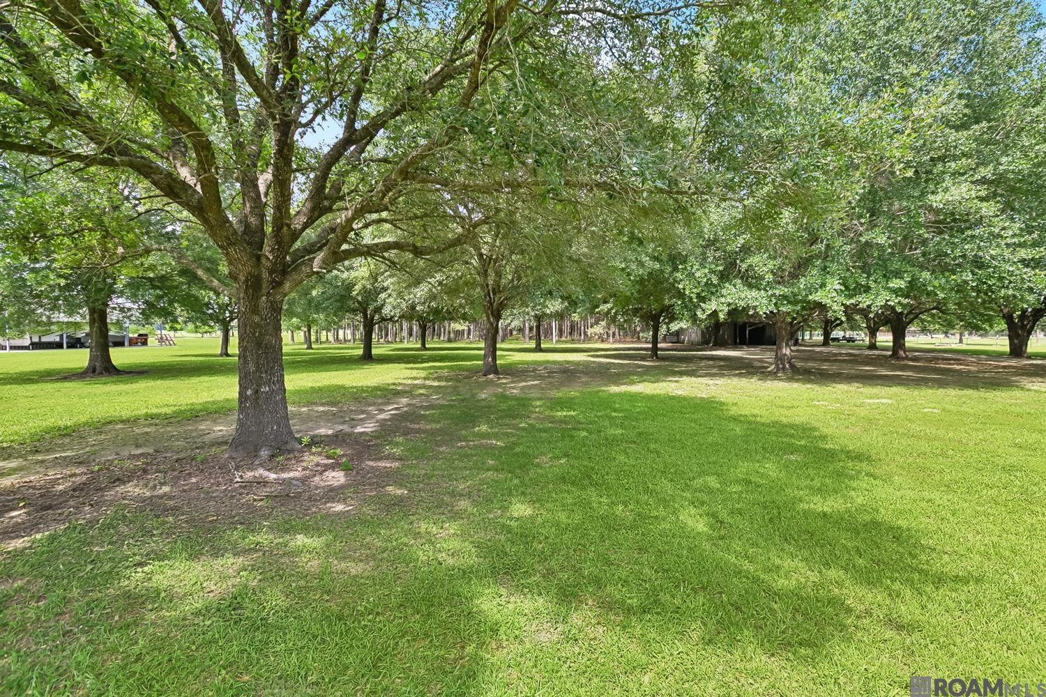 35201 Cane Market Rd, Denham Springs, Louisiana image 32
