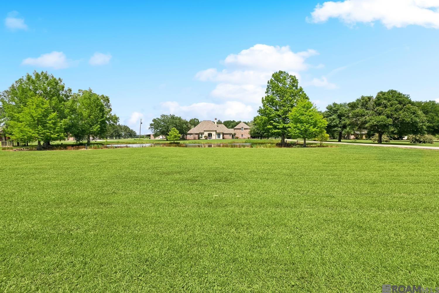 35201 Cane Market Rd, Denham Springs, Louisiana image 3