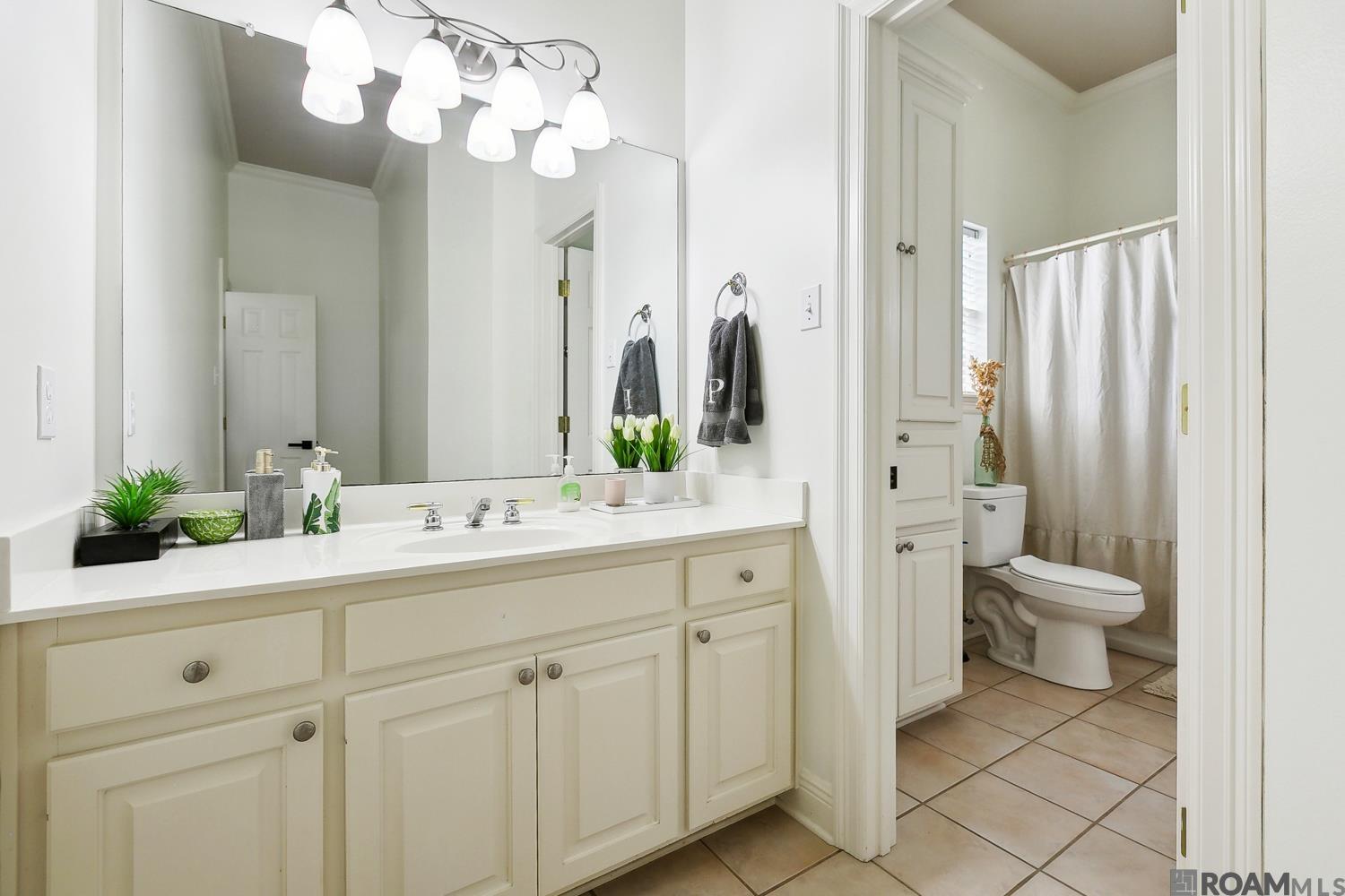 35201 Cane Market Rd, Denham Springs, Louisiana image 23