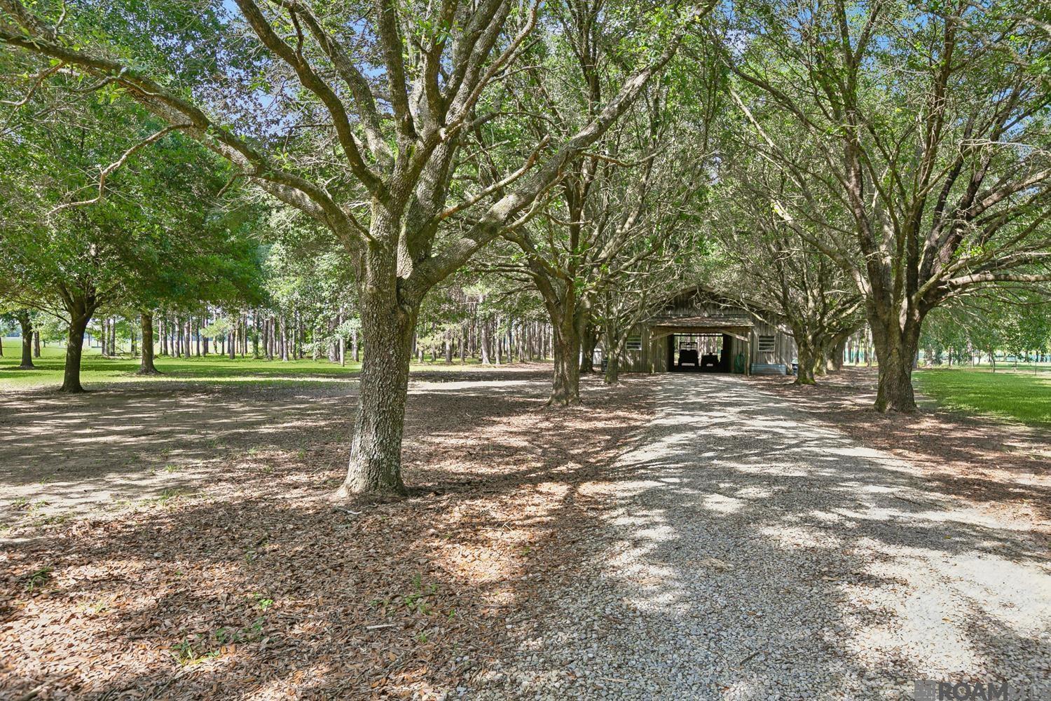 35201 Cane Market Rd, Denham Springs, Louisiana image 39